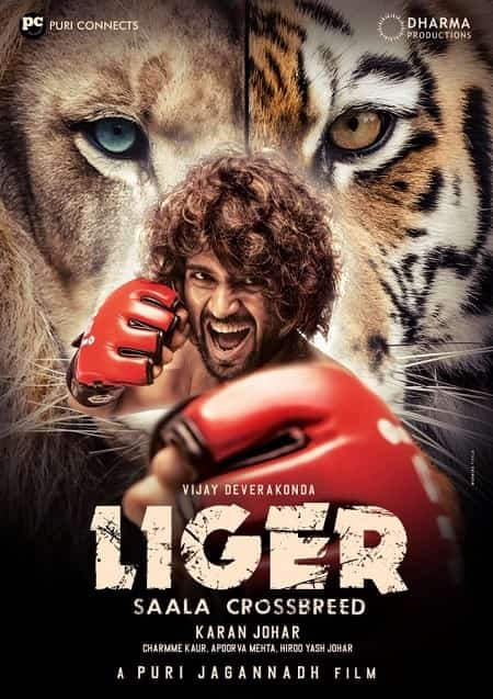 liger-meaning-in-hindi-telugu-english-tamil-kannada-and-other-movie-details