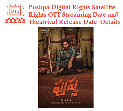 Pushpa Digital Rights Satellite Rights OTT Streaming Date